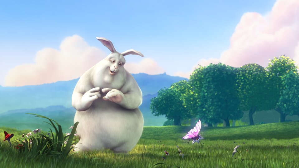 Image du film Big Buck Bunny